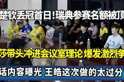 开云体育中国-瑞典队碾压中国队，王皓点燃赛场