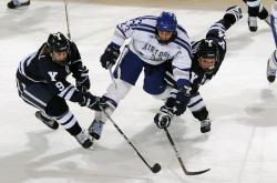 开云足球直播-国王力克广东队，武切维奇成为关键先生