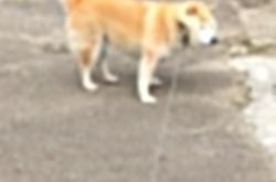 开云官网-布伦森末节封神独砍17分，奇才爆冷提前终结快船悬念