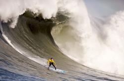开云官方app入口-从沙漠到街道，当逆转成为跨越时空的竞技法则—日本足球奇迹与蒂亚戈的F1统治之夜