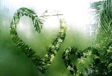 开云平台-包含阿联酋联赛，杜拜双子星对上阿布扎比猎鹰的词条