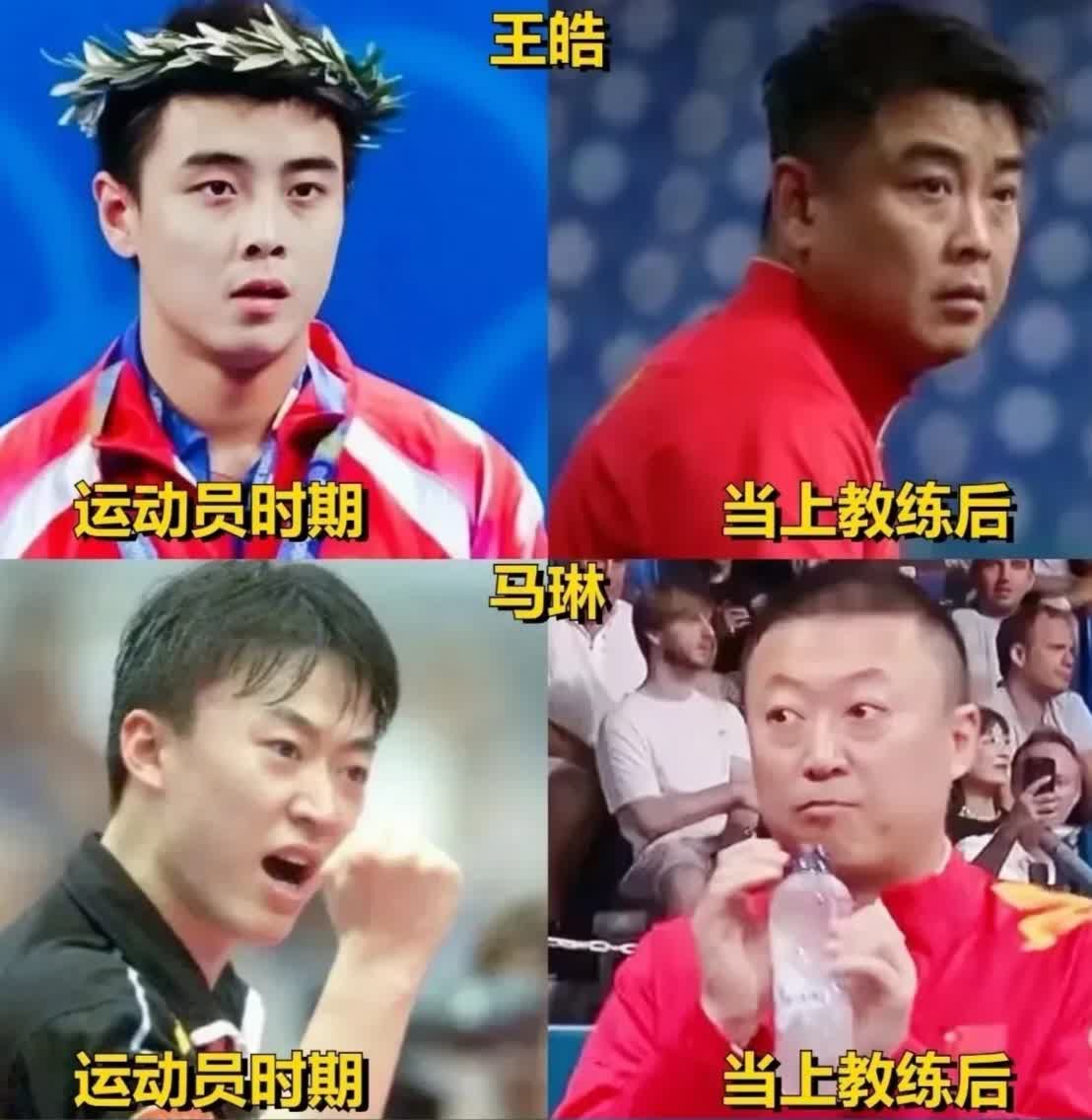 关于日本乒乓球队强势比利时乒乓球队,王皓爆发神勇的信息 关于日本乒乓球队强势比利时乒乓球队,王皓爆发神勇的信息