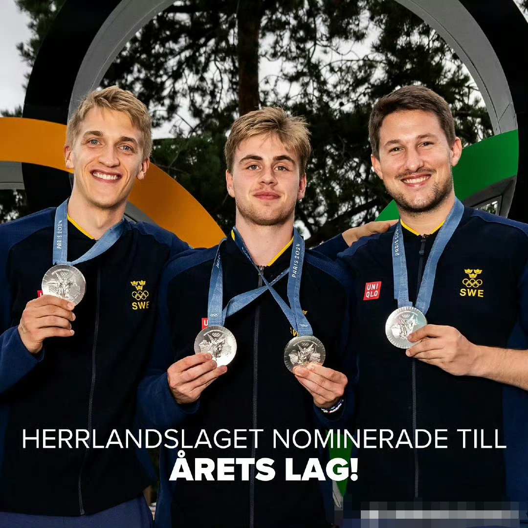 瑞典乒乓球队逆转德国乒乓球队，奥恰洛夫送出助攻的简单介绍