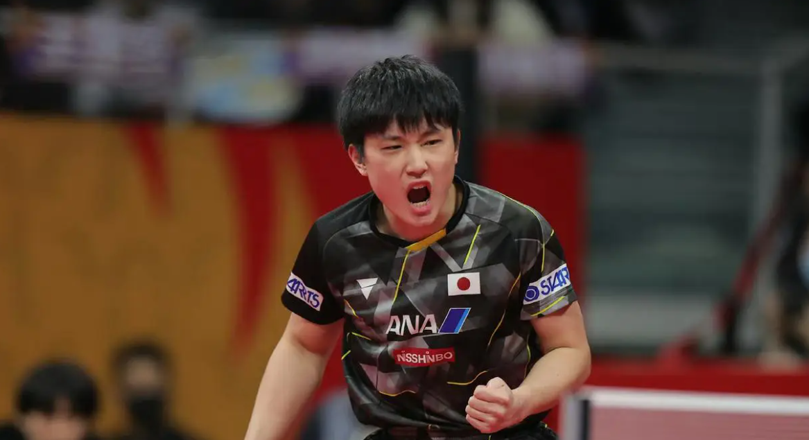 日本乒乓球队血洗法国乒乓球队，张本智和送出助攻的简单介绍