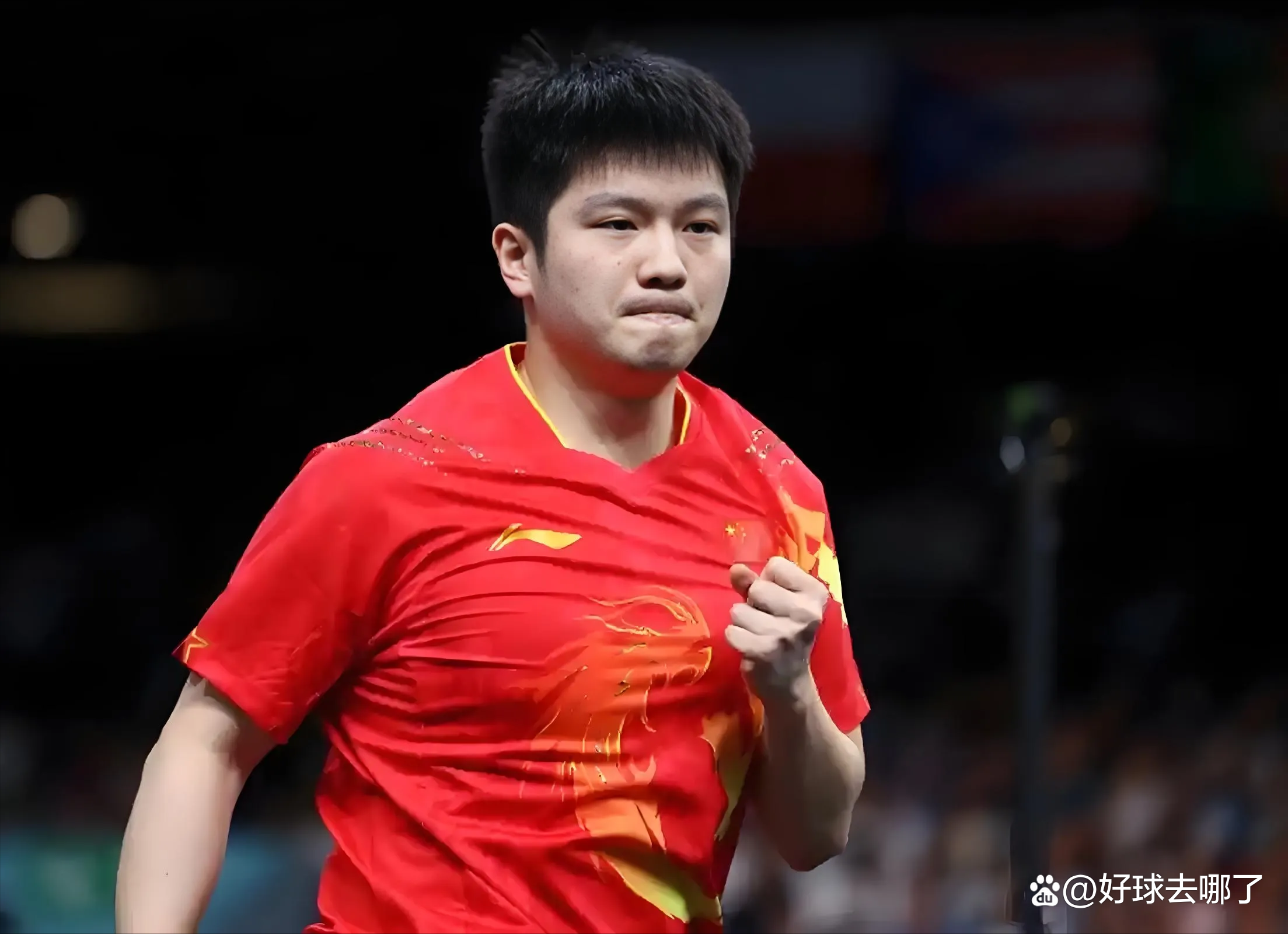 关于比利时乒乓球队完胜奥地利乒乓球队，樊振东制霸全场的信息