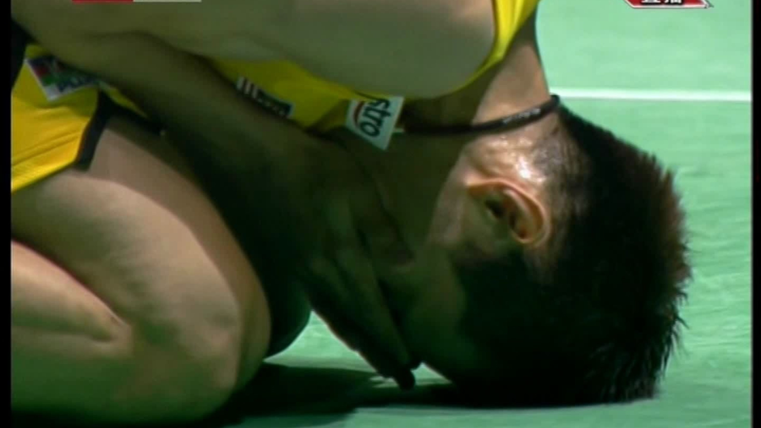 丹麦羽毛球队绝地反击日本羽毛球队，李宗伟统治全场的简单介绍