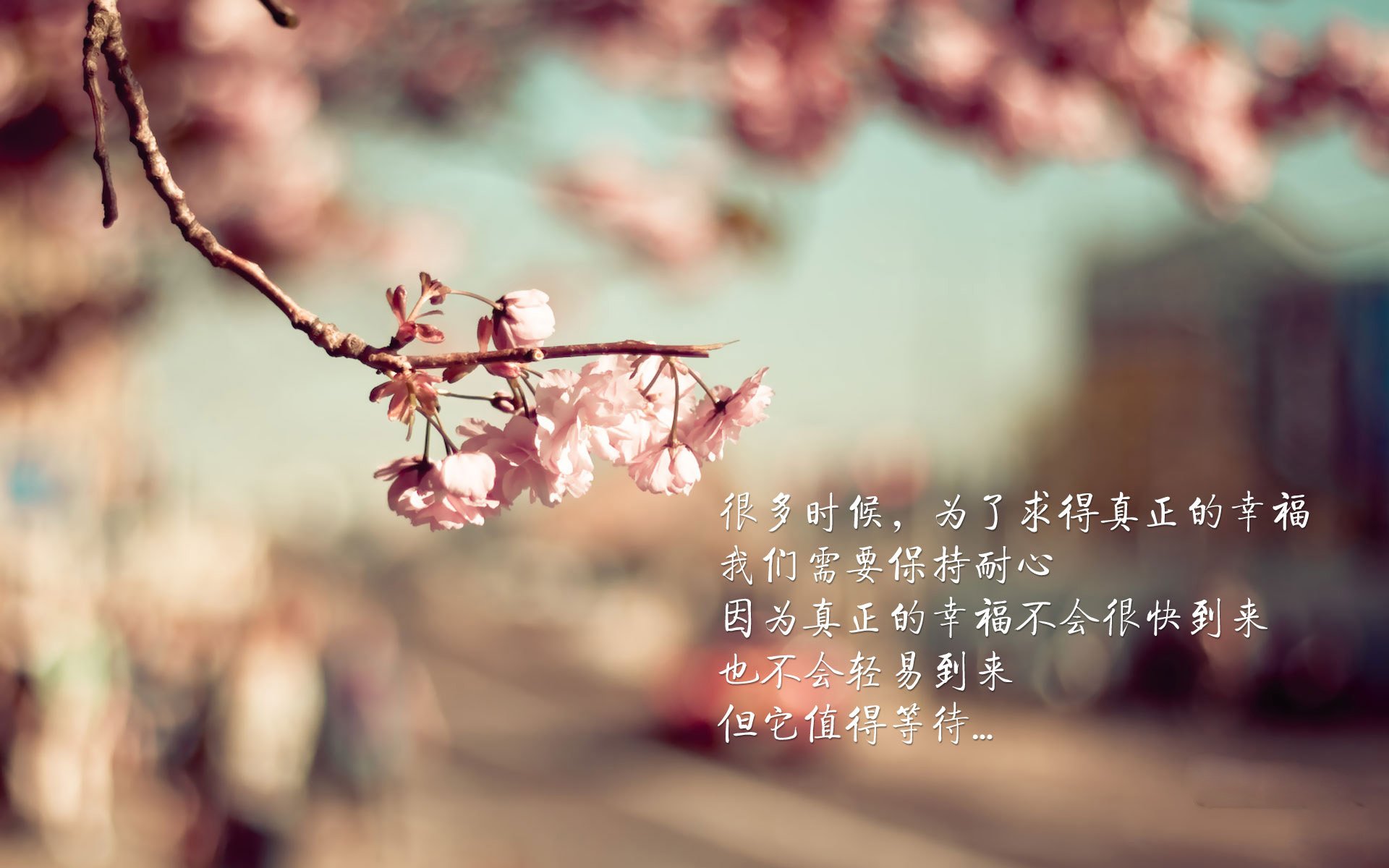 北欧风暴与曼彻斯特闪电，当丹麦的坚韧遇上拉什福德的欧冠封神夜