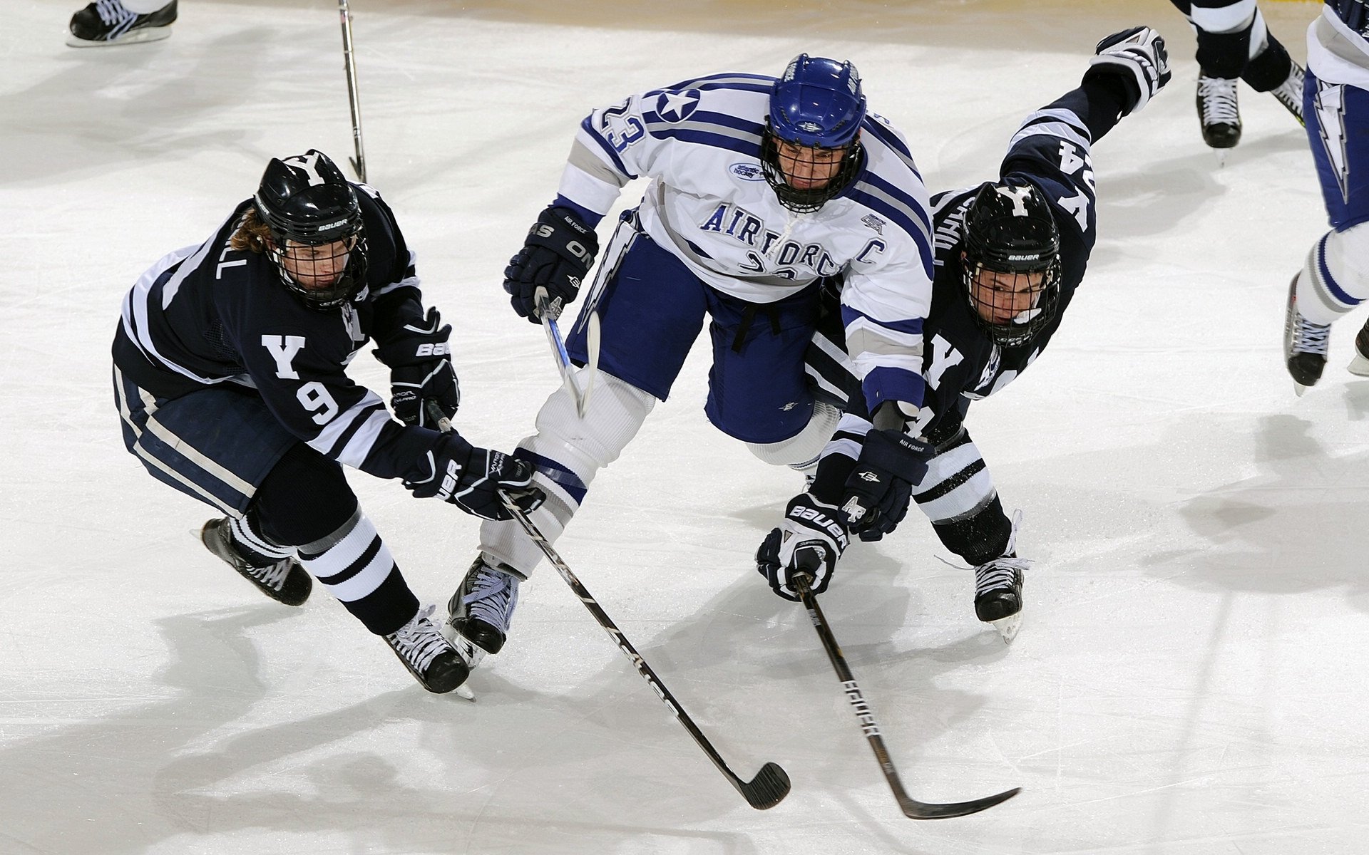 国王力克广东队，武切维奇成为关键先生