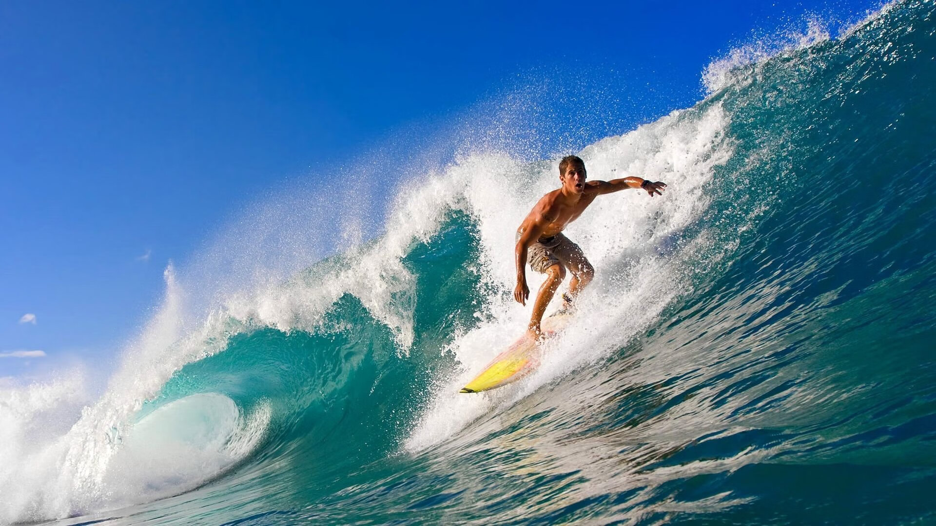 马龙统治全场,波兰队鏖战德国队见证乒坛传奇